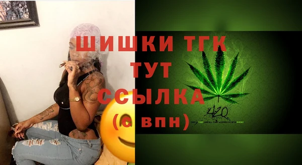 спиды Аркадак