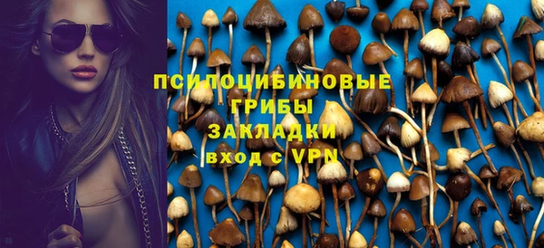 спиды Аркадак