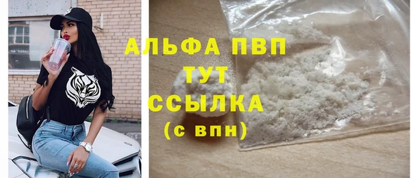 спиды Аркадак